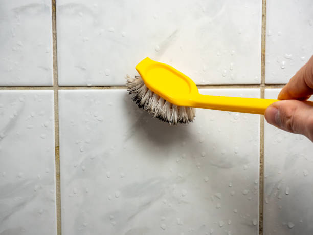 Best Same-Day Mold Removal  in Gordon Heights, NY